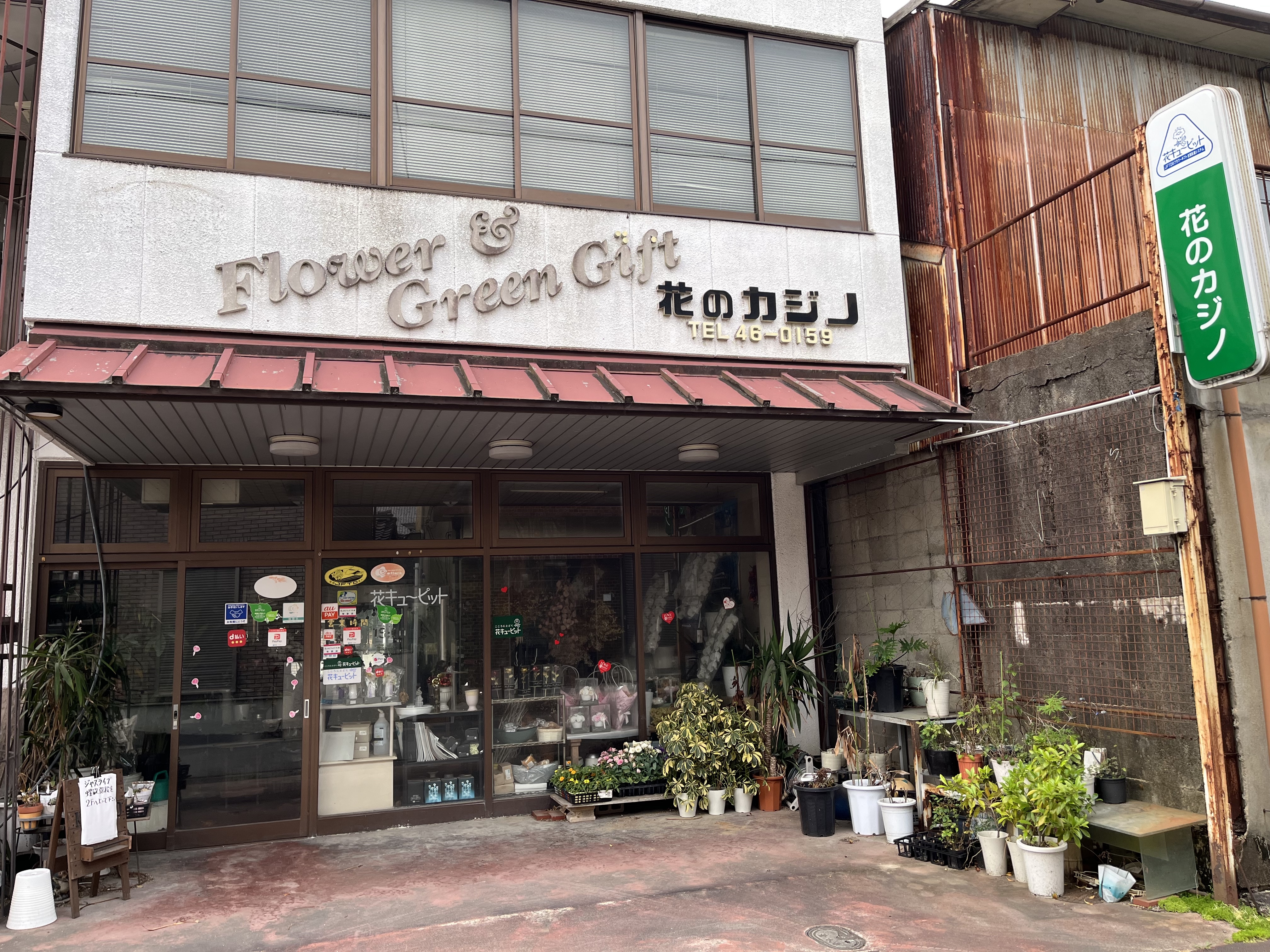 我が町紹介花カジノIMG_1908.jpg